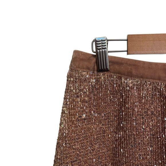 Free People Rose Sequin Velvet Mesh Wild Child Mini Skirt Size 4 - Picture 4 of 8